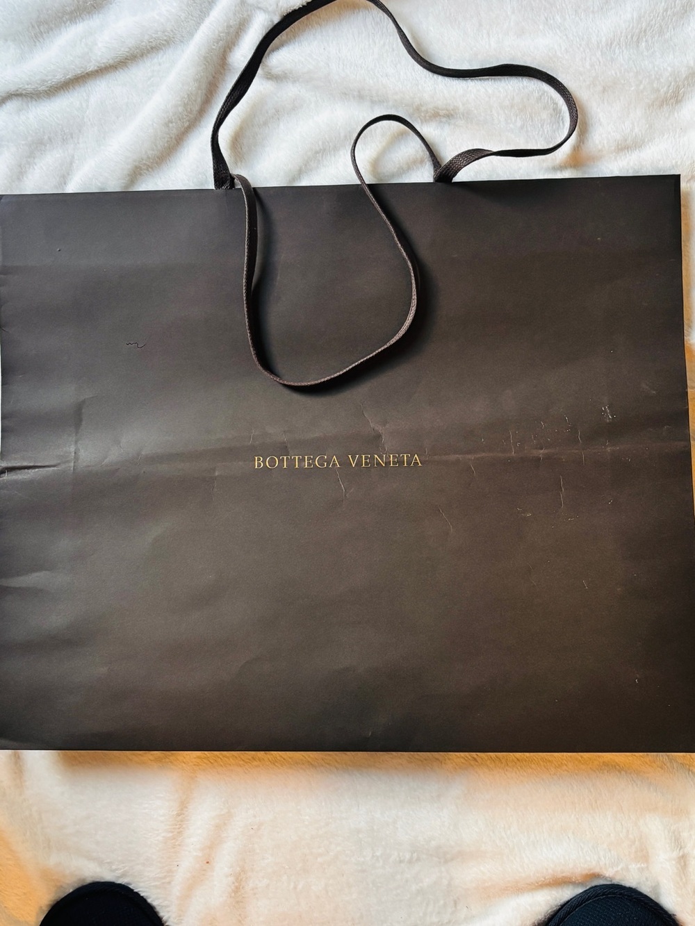 Bottega Veneta Large Chocolate Brown Luxury Shopping Gift Bag Authentic - Picture 3 of 6
